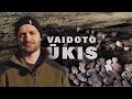 VAIDOTO ŪKIS - AKMENINIS TAKELIS IR DIRVA / 25