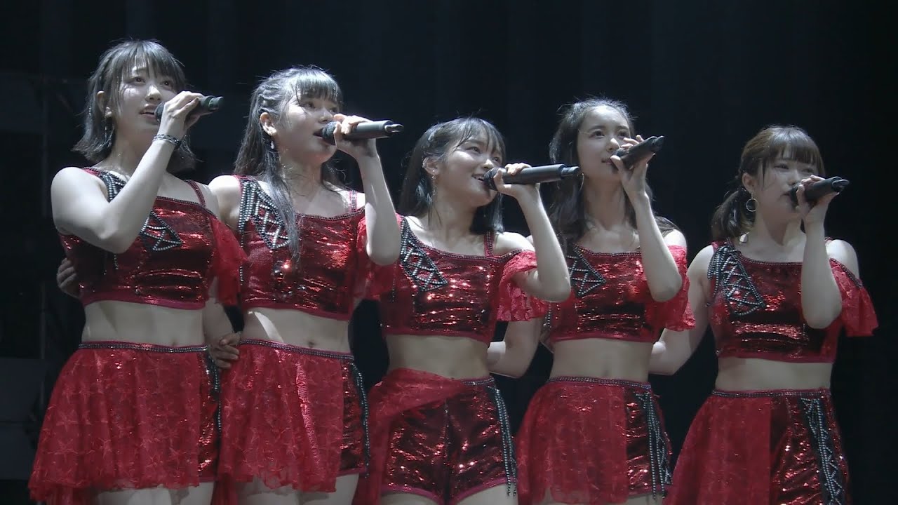 明日の辛夷は今日より綺麗