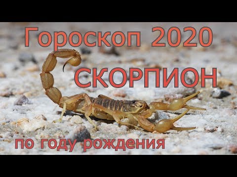 Гороскоп Скорпион На 12 Апреля