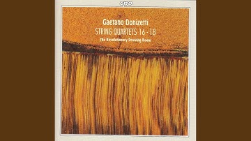 String Quartet No. 16 in B Minor: I. Allegro