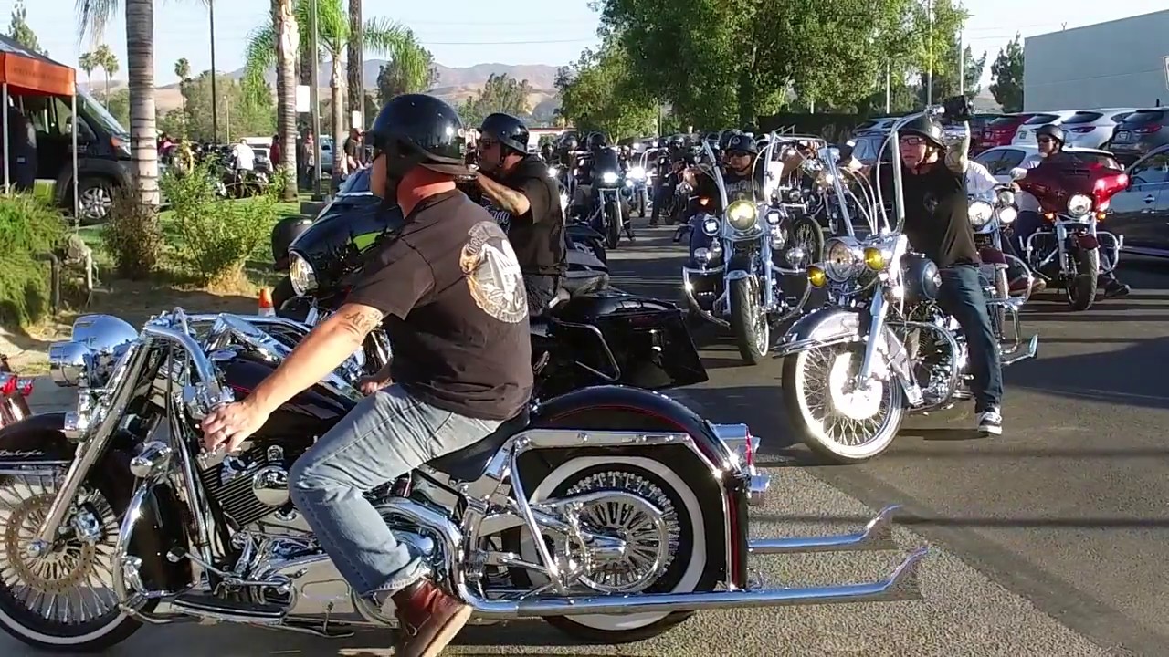  Quaid  Harley  Davidson  Bike Night YouTube