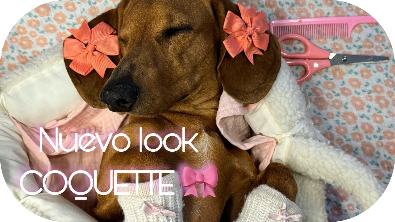 ASMR | 🎀🐶 PRECIOSO LOOK COQUETTE | SUPER RELAXING
