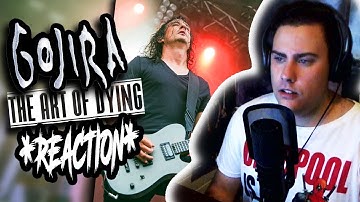 GOJIRA - THE ART OF DYING (LIVE @ Vieilles Charrues Festival 2010) *REACTION*