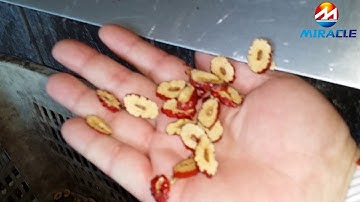 fruit slicing machine for dates olive apricot plum and so on