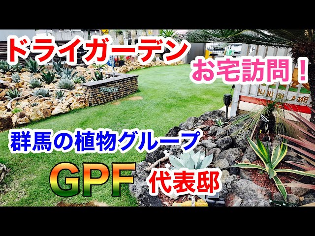 ドライガーデン】お宅訪問！GPF代表yuyaさんの素晴らしいお庭を拝見