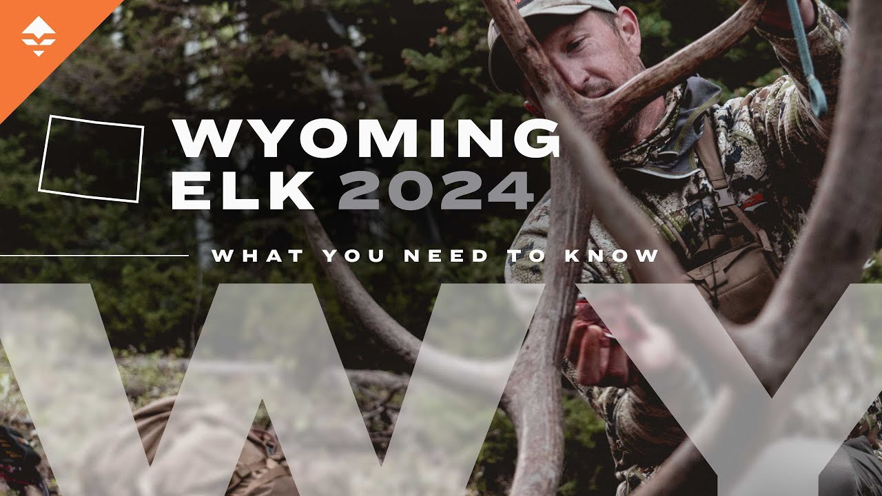 How to Hunt Elk in Wyoming Changes for 2024 and Everything Else You