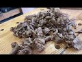 Beginning of video