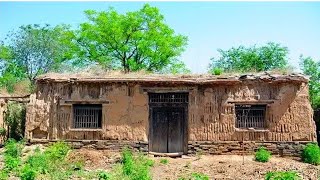Renovate the dilapidated earthen house of grandpa and turn it into a "luxury house" after completion