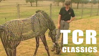 Horse Sculptures (Texas Country Reporter)