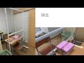 参議院予算委員会で言ったこと2021/3/16
