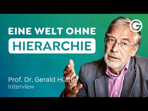 Video: Was bedeutet keine Hierarchie?