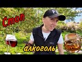 20 ЛЕТ БЕЗ АЛКОГОЛЯ! Ответы на ваши вопросы