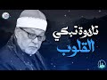 صوت قرآني مؤثر يلمس القلوب ويبعث النور في النفوس لحظة بلحظة 🎧 الشيخ السيد سعيد