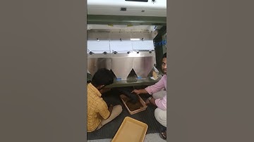 | MARK |  #colorsorting #sortex #colorsortingmachine #colorsorter #colorsorter