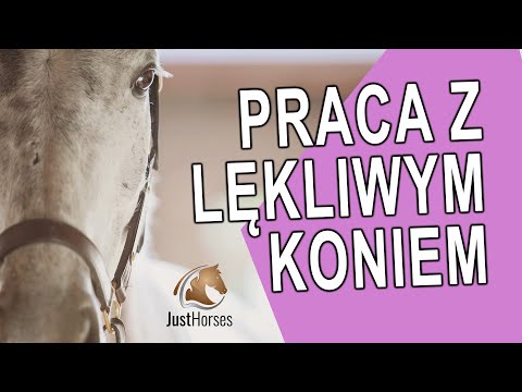 Wideo: Co to jest lądowanie w końskim łbie?