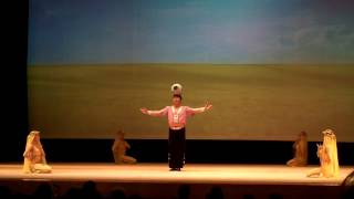 Shanghai Acrobats 3