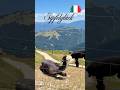 🦙 Alpakas auf Wolkenhöhe – ein Traum am Monte Baldo 🏔️❤️🇮🇹