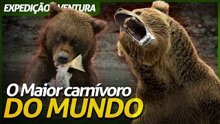 URSO KODIAK, O MAIOR CARNÍVORO DO MUNDO | EXPEDIÇÃO AVENTURA