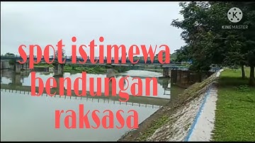 Belibis mandar dan sintar masih sangat jinak josss