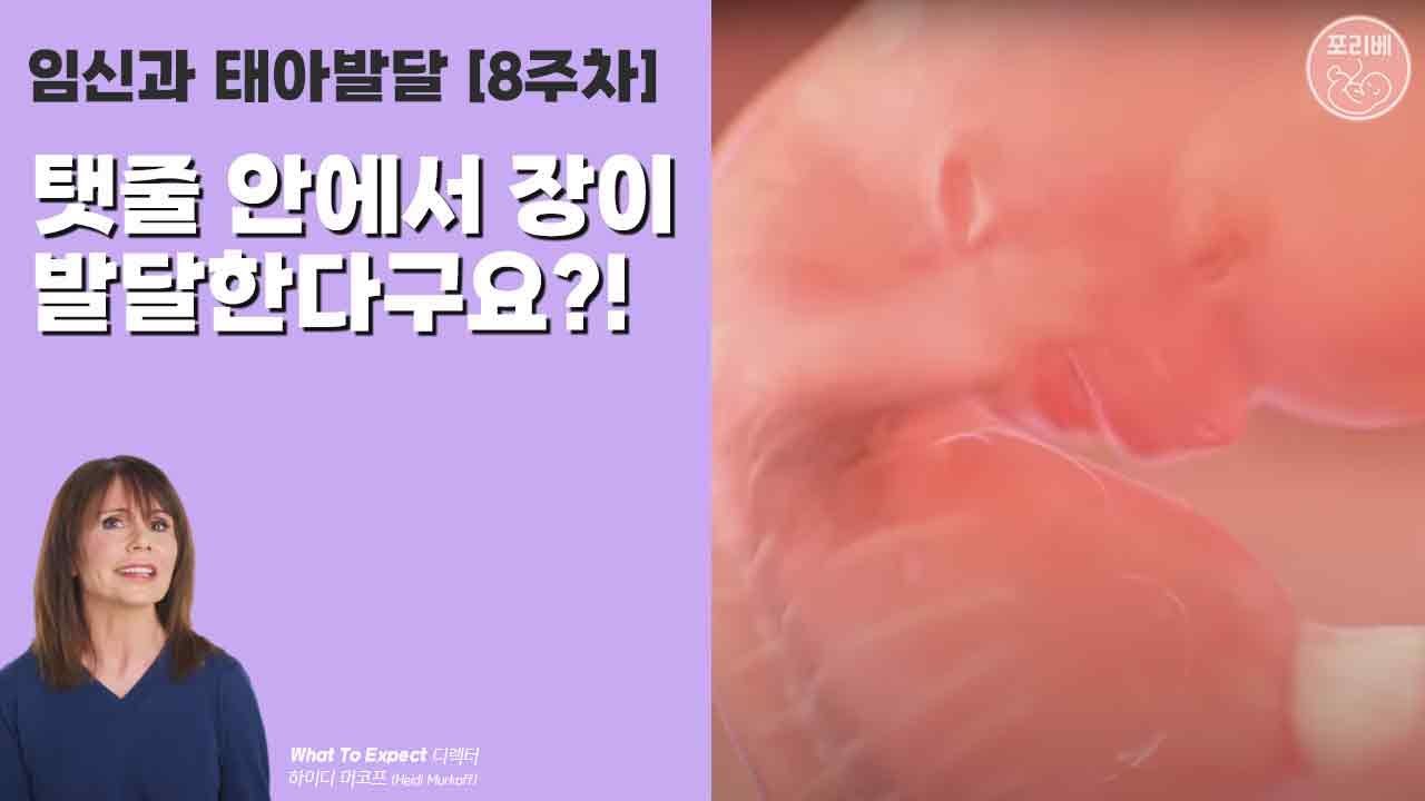 임신과 태아발달 시리즈 8