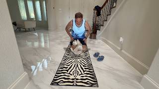 Zebra Runner Rug Review & Unboxing