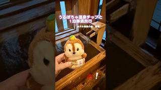 【那須旅行】ホテル四季の館那須をチップと楽しむvlog #ディズニー #うるぽちゃ #vlog #那須 #那須塩原 #旅行 #ホテル #チップとデール