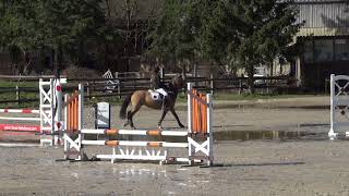 Aubane & Niagara   CSO Club 3 Senlisse 11/03/2018