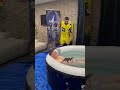 Ganzes Video auf Youtube... #jordansemih #krokodile #experiment #shortvideo #humour