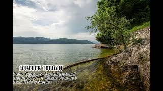 Forever Tonight" -  Peter Cetera