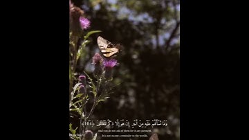 سورة يوسف-محمد هشام