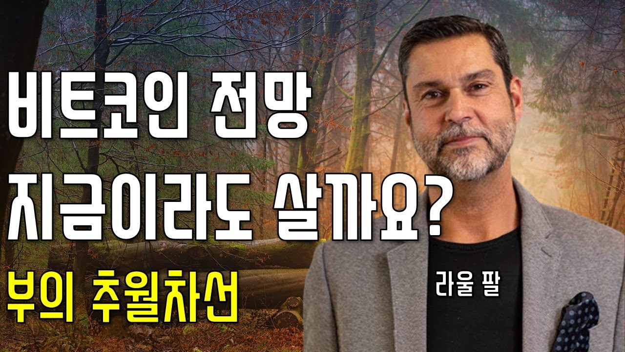 라울 팔 비트코인은 부의 추월차선. 비트코인 전망과 임금 디플레이션