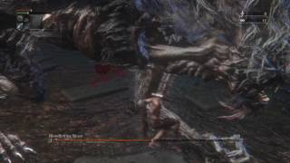 BL4 FRC Bloodletting Beast No Rolling/Dashing/Consumables Flawless Kill @Dafhiskable