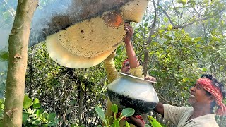 wild honey harvesting in Sundarban forest !!!