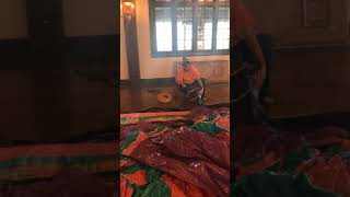 Famous PartyTime Inflatable -- How to setup a bounce house Profile