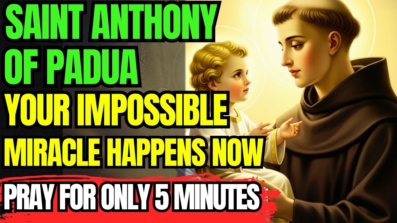 🙏 SAINT ANTHONY OF PADUA — PRAY THIS TODAY, A MIRACLE CAN CHANGE EVERYTHING