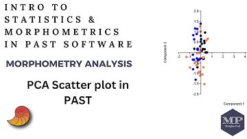 28. PCA Scatter plot in PAST Software