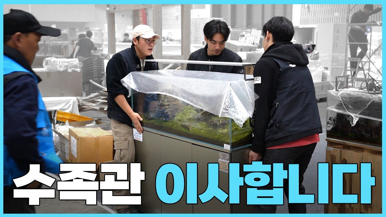 관상어 파충류 박람회로 - 송도 관파박 상아쿠아