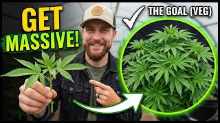 How to Grow Weed (Step-By-Step) Video #5 of 7
