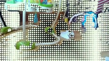 Samsung Galaxy Nexus Android 4.0 Ice Cream Sandwich camera features demo