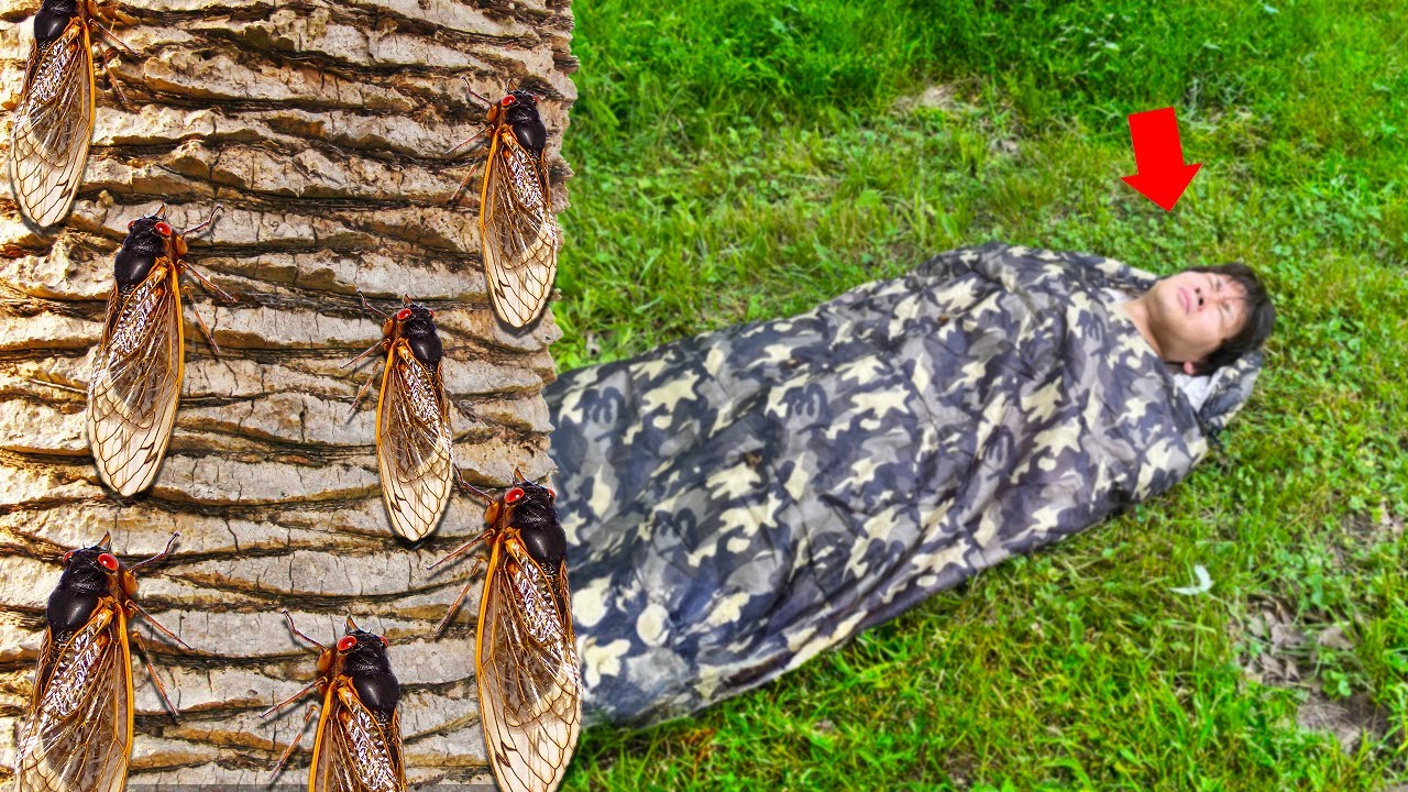 I tried taking a nap amid the roar of an American 