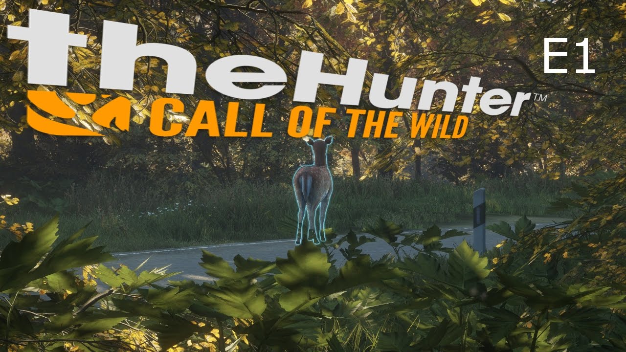 The Hunter Call Of The Wild E1 Beginners Gameplay YouTube