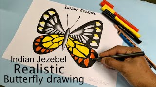 Easy drawing and colouring Indian Jezebel butterfly/ Realistic