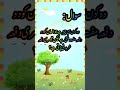 🔥 Guess The Answer! Urdu Quiz Challenge Paheliyan Level 66 | 99% Fail | Deep Focus Ambience #shorts