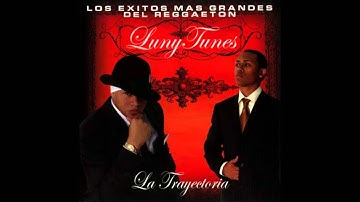 Don Omar - Pasto y pelea