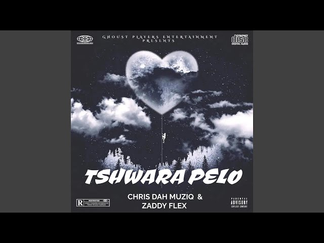 Tshwara Pelo (feat. Zaddy Flex, Mellow & G -bouy) class=