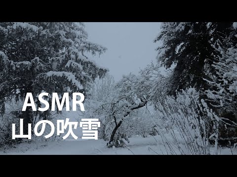 【asmr 環境音】吹雪 | 自然音・雪音｜睡眠用bgm・作業用bgm・勉強用bgm　sleep music/nature sounds