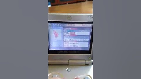 Another uncatchable shiny Poochyena!