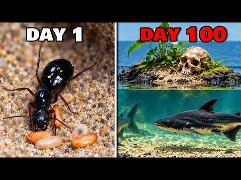Simulating an Ant Colony for 100 Days on Skull Island