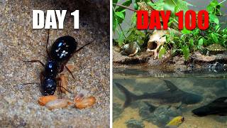 I Built a Skull Island for an Ant Colony and Watched Them Survive 100 Days 🐜