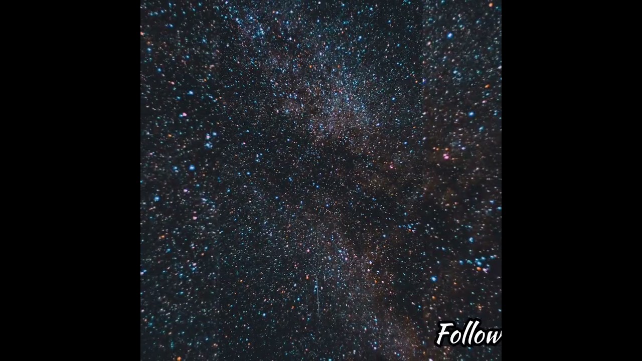 PURPLE DODGERS bred by Roc Bud Genetics. Cultivation by TERPACABRA